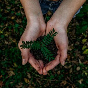 Mensch haltet Erde und pflanzen in der hand - nachhaltigkeit, natur