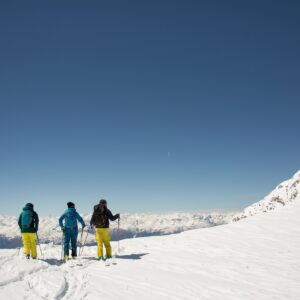 Aussicht mit Schifahrer